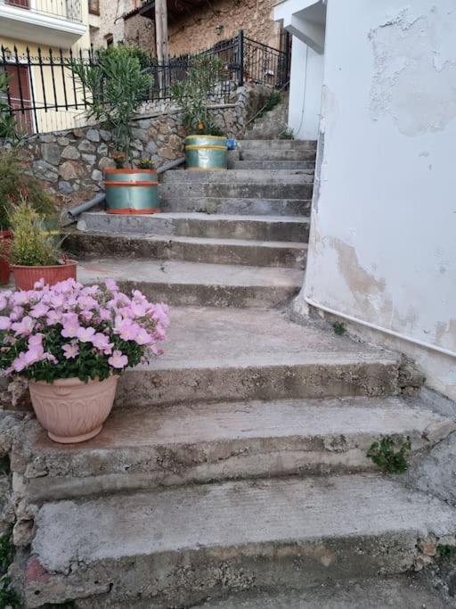 Gs Home غيتيو المظهر الخارجي الصورة